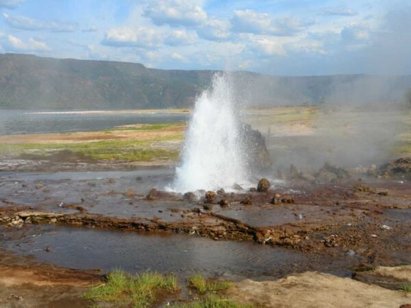 Lake Bogoria Day Trip