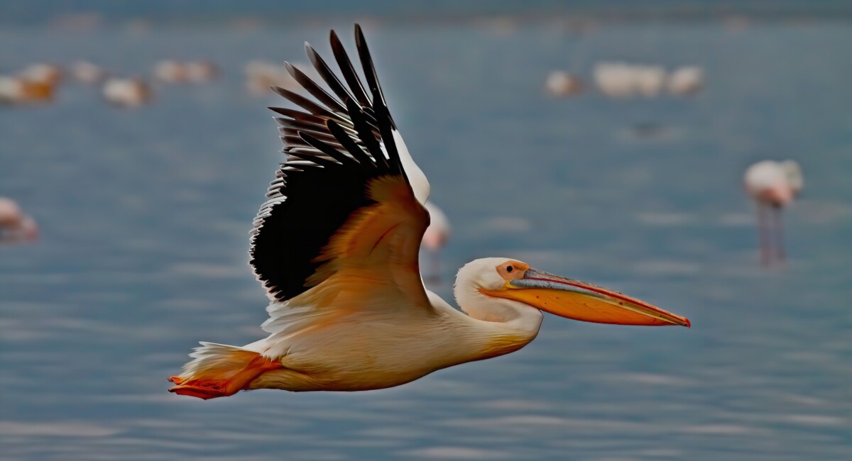 By Sanjeed Quazi on Pexels