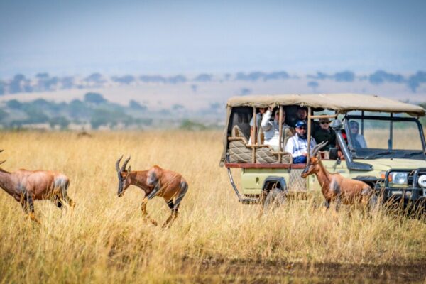 12 Days Kenya – Tanzania Budget Safari