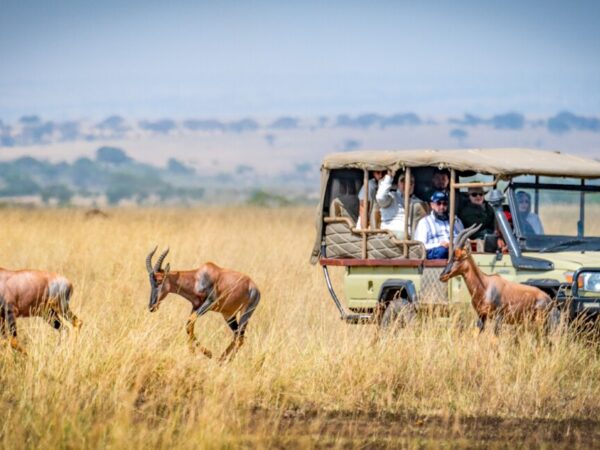 12 Days Kenya – Tanzania Budget Safari