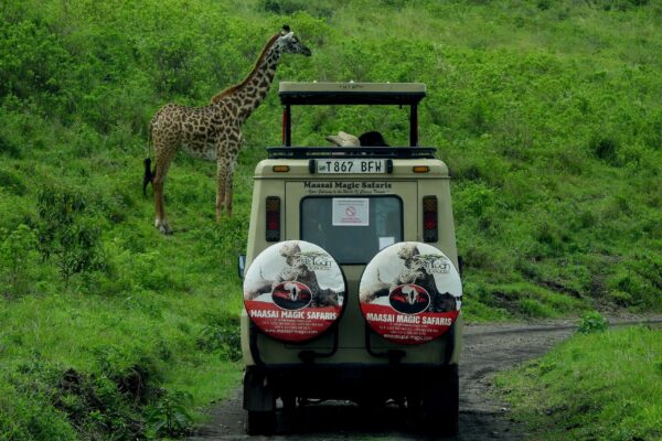 6 Days Kenya-Tanzania Private Safari via Isebania